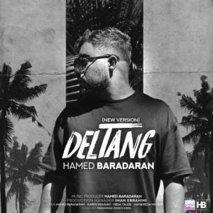 hamed baradaran deltang new version 2023 04 25 08 55