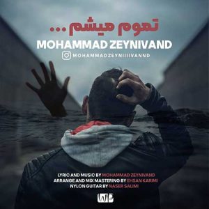 mohammad zeynivand tamoom misham 2023 06 12 15 50