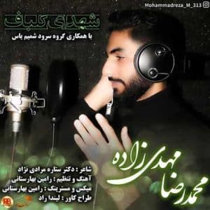 mohammadreza mehdizadeh shohadaye golbaf 2023 06 03 11 30