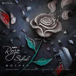 moshah roze sefid 2023 06 22 19 45