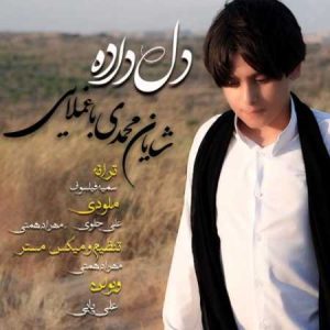 shayan mohamadi baghmollaei deldadeh 2023 07 28 15 31