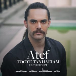 atef tooye tanhaeiam 2023 08 19 10 37