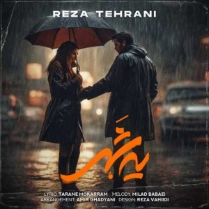 reza tehrani ye shahr 2023 10 22 18 26