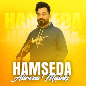 alireza maleki hamseda 2023 12 08 13 59