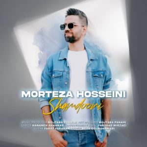 morteza hosseini shamdooni 2024 03 13 00 34