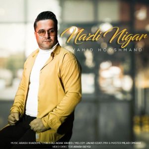 vahid hooshmand nazli negar 2024 03 09 18 22