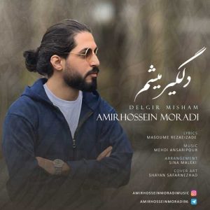 amirhossein moradi delgir misham 2024 04 13 10 20