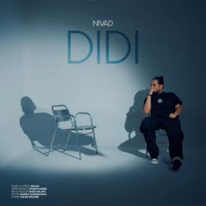 nivad didi 2024 04 17 10 41