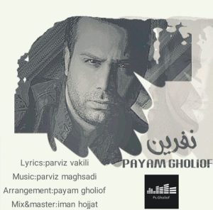 payam ghiliof nefrin 2024 04 29 07 33