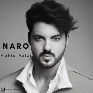 vahid azizi naro 2024 05 30 09 40