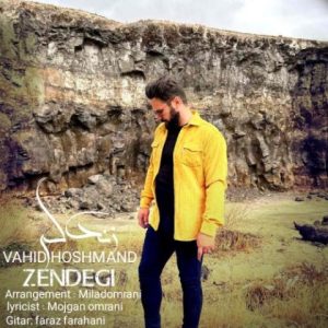 vahid hoshmand zendegi 2024 05 18 17 01