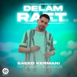 saeed kermani delam raft 2024 06 09 16 34
