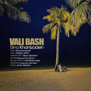 sina khanizadeh vali bash 2024 08 15 17 12