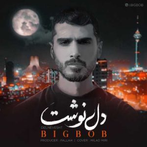 bigbob delnevesht 2024 09 08 13 55