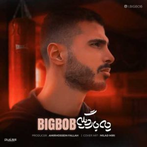 bigbob ye bare dg 2024 11 12 08 29