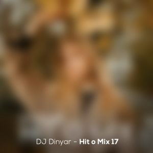 dj dinyar hit o mix 17 2024 11 02 17 44