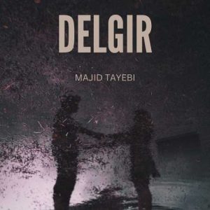 majid tayebi delgir 2024 11 29 23 03