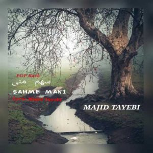 majid tayebi sahme mani 2024 11 18 08 48