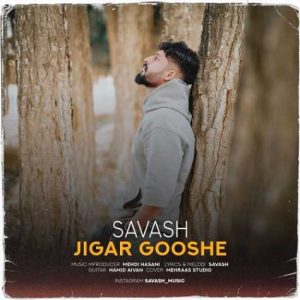 savash jigar gooshe 2024 11 26 13 46