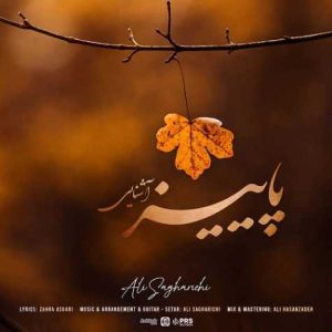 ali sagharichi paeiz ashenaei 2024 12 02 23 36