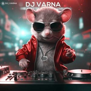 dj varna varamin nights 14 2024 12 06 01 02