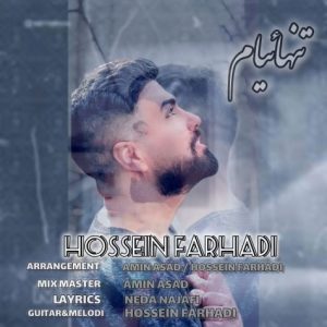 hossein farhadi tanhaeiyam 2024 12 31 14 58