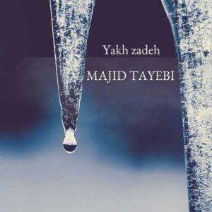 majid tayebi yakh zadeh 2024 12 13 18 30