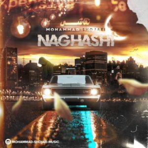 mohammad shojaei naghashi 2024 12 13 17 55