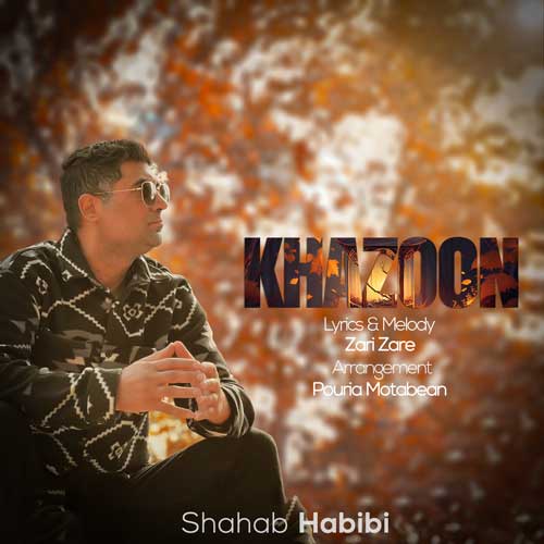 shahab habibi khazoon 2024 12 11 08 12