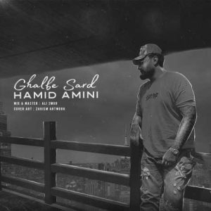 hamid amini ghalbe sard 2025 01 08 11 08