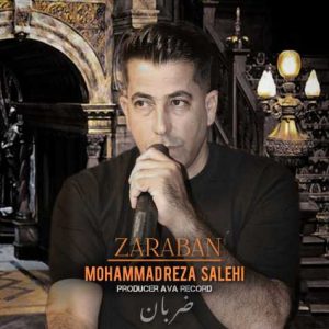 mohammadreza salehi zaraban 2025 01 13 14 44