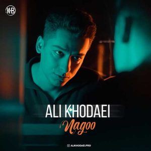ali khodaei nagoo 2025 02 19 12 28