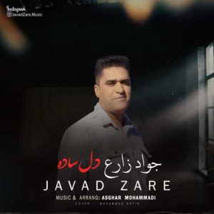 javad zare del sade 2025 02 24 16 40