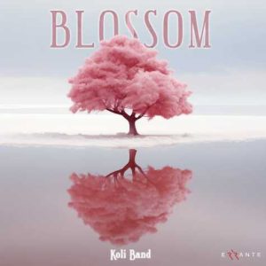 koli band blossom 2025 02 11 09 00