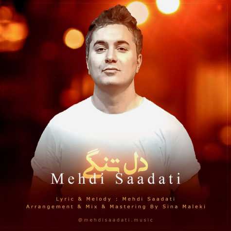 mehdi saadati deltangi 2025 02 15 17 34