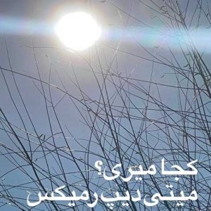 meytideepe koja miri remix 2025 02 05 17 31