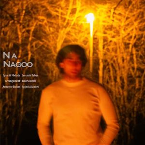 soroush saber na nagoo 2025 02 21 17 26