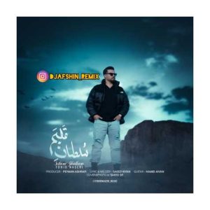 tohid naseri remix soltan ghalbam 2025 02 19 12 29