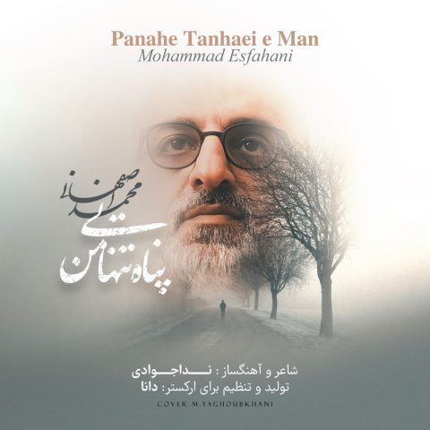 mohammad esfahani panahe tanhaei man 2025 03 04 12 34