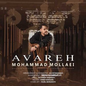 mohammad mollaei avareh 2025 03 14 18 45