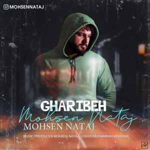 mohsen nataj gharibeh 2025 03 16 18 45