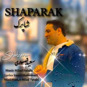 saeed shahsavari shaparak 2025 03 30 08 49