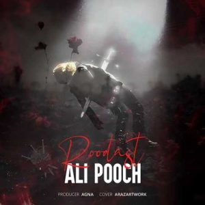 roodast ali pooch 2025 04 27 18 36