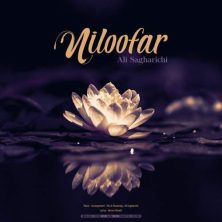 ali sagharichi niloofar 2025 05 18 10 15