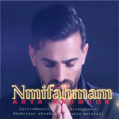 arya radmehr nemifahmam 2025 05 22 15 27