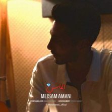 meisam amani almas 2025 05 28 17 32