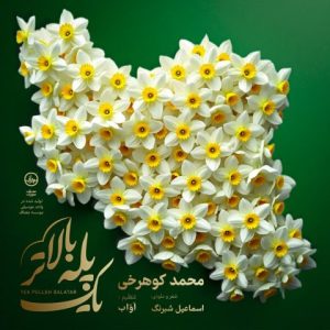 mohammad koohrokhi yek pelle balatar 2025 05 03 13 51