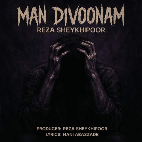 reza sheykhipoor man divoonam 2025 05 29 13 58