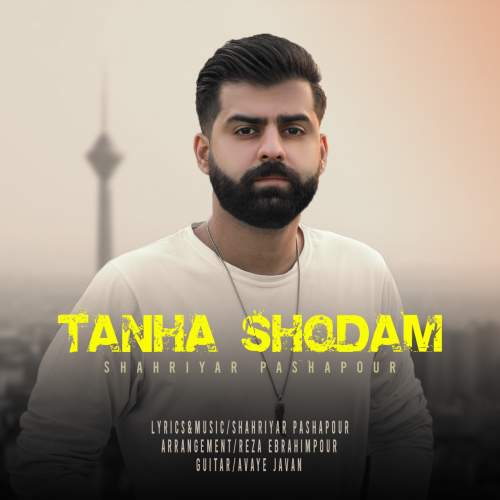 shahriyar pashapour tanha shodam 2025 05 15 12 33