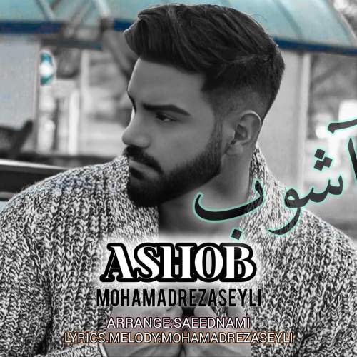 mohamadreza seyli ashob 2025 06 12 16 41
